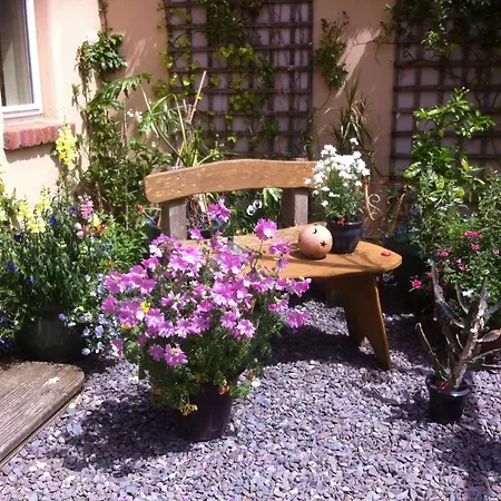 Driftwood Country Ostello Skibbereen